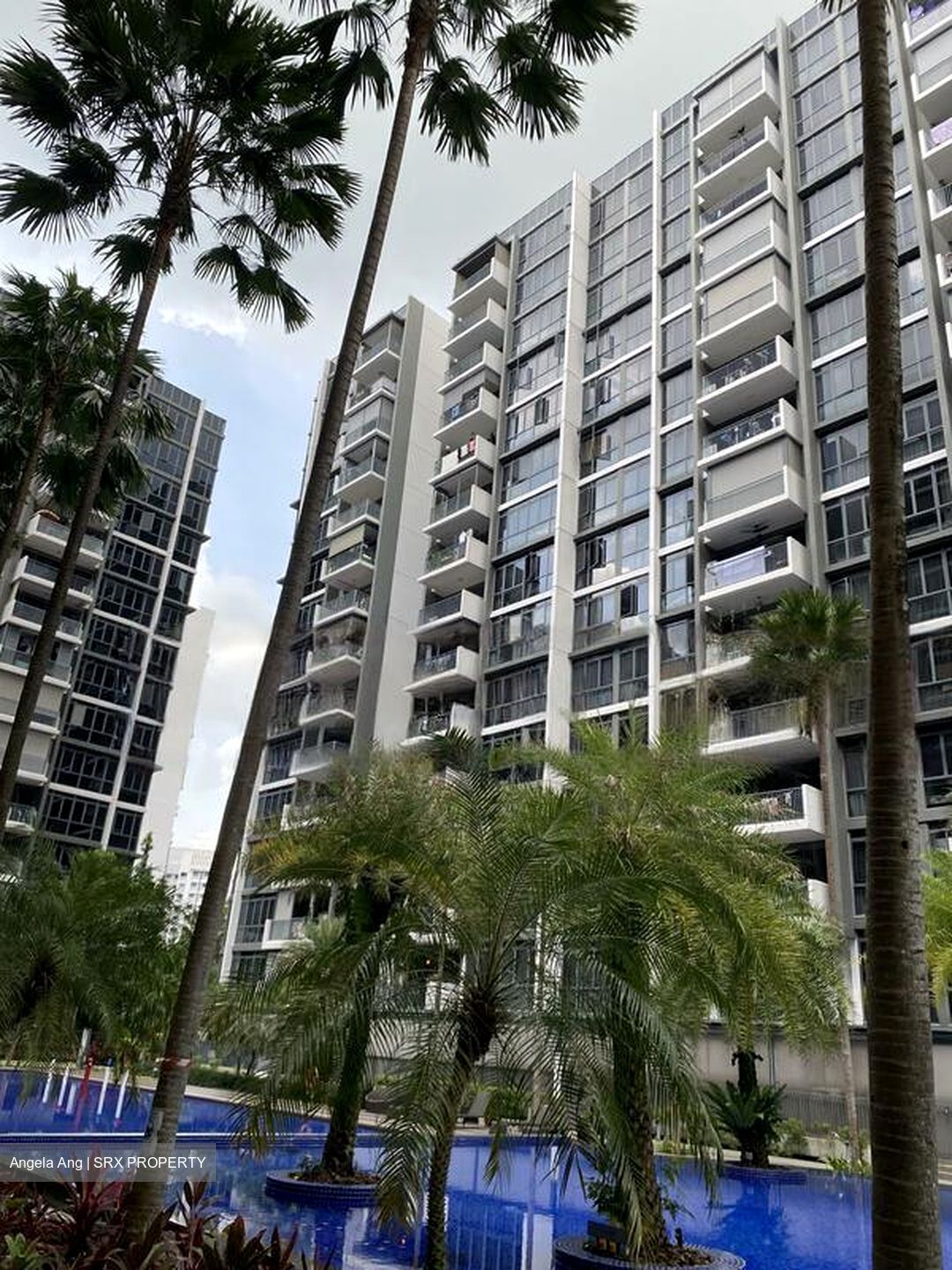 La Fiesta (D19), Condominium #458568891